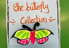 The Butterfly Collection