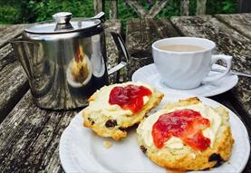 The Bustard Tea Rooms