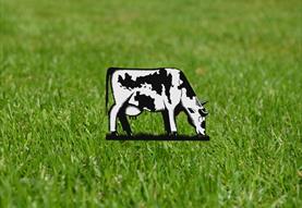 3 Acres + A Cow: Wild Waters Festival