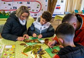 Trees for the Future – family event days