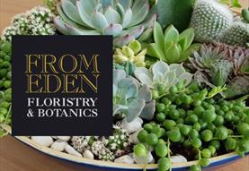 Indoor Succulent Gardens
