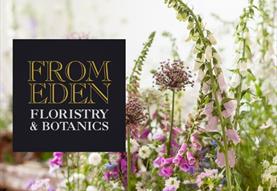 Summer Meadow Boxes