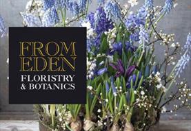 Spring Bulb Bowls
