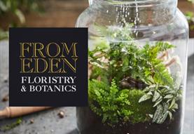 Make Your Own Terrarium