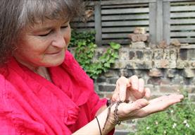 Rebugging The Planet - one shop, garden and vote at a time: Talk by Vicki Hird