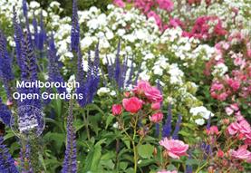 Marlborough Open Gardens