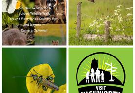 Wild Life Walk with Neil George Photography