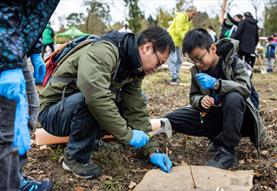 Community Woodland Public Volunteering Day - Westonbirt