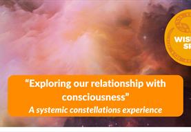 "Exploring our relationship with consciousness - a systemic constellations experience"