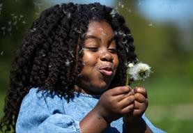 Wind – Blown Away – family activity days