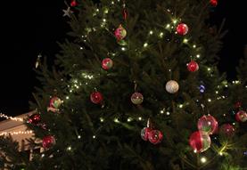 Corsham's Wishing Tree