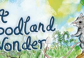 Playtime! A Woodland Wonder