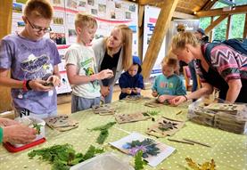 Woodland Webs – family activity days