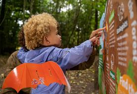 Zog activity trail - Westonbirt Arboretum
