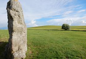 Avebury Landscape History Walk