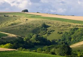 Guided Walk: Cranborne Chase