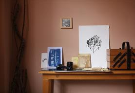 Eco Print Media Workshop