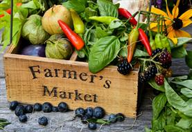 Farmers Market at River Bourne Community Farm