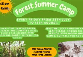 Forest Summer Camp - Dream Catchers and Leaf Painting