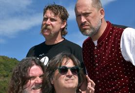 Hayseed Dixie