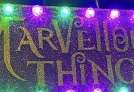 The Museum of Marvellous Things