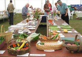 Annual Produce Show