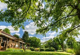 green garden space with wooden decking seating areas