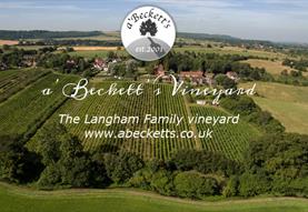 a'Beckett's Vineyard
