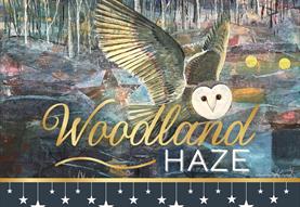 Woodland Haze - A Winter Exhibition