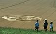 Crop Circle (C) Frank Laumen