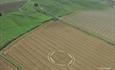 Crop Circle (C) Janet Ossenbaard