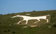 Pewsey White Horse