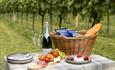 Picnic in the vines at Bluestone