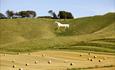 The White Horse at Cherhill