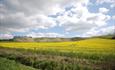 Cherhill White Horse (C) Esther Reeve