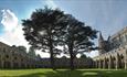 Salisbury Cathedral's famous Cloisters (C) Ash Mills