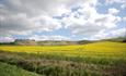 Cherhill White Horse, nr Calne (C) Esther Reeve