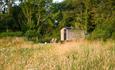 Marshwood Farm Camping - Shepherds Hut