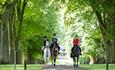 Horse riding in Lucknam Park estate