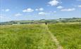 Landscape around Warminster