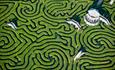 aerial view of Longleat hedge maze