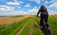 New Forest Cycling Tours
