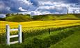 Wiltshire White Horse