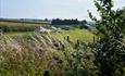 Marshwood Farm Camping - bell tents