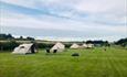 Marshwood Farm Camping