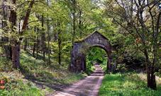 Archway in Wardour Woods, Tisbury