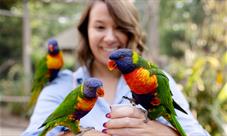 women feeding lorikeets, one on each hand and one on her shoulder