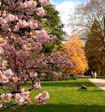 Westonbirt, The National Arboretum