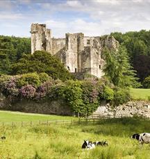 Old Wardour Castle
