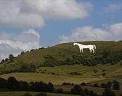 Westbury White Horse Summer Wiltshire